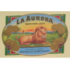 La Aurora 1903 Preferidos